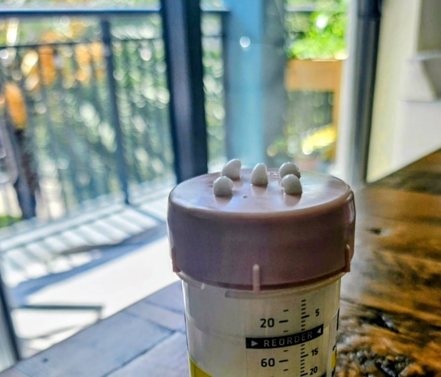 Estradiol versus Estriol versus Estrone; Which Estrogen Is Best?